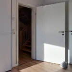 Knus Ferienhaus *